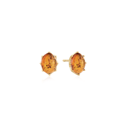 Guld ørestikker