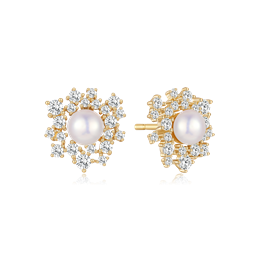 Sølvforgyldt ørestikker