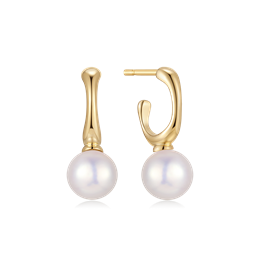 Sølvforgyldt ørestikker